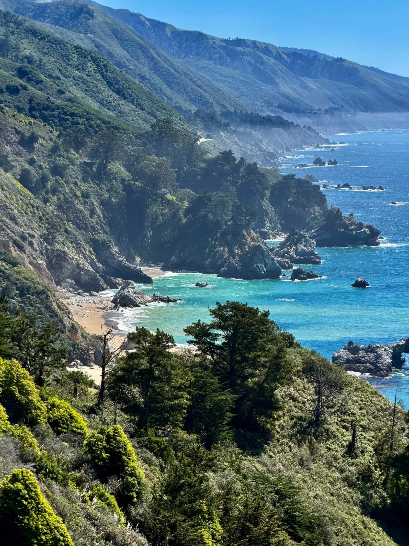 Big Sur coastline of green headlands, coves and turquoise water stretching into haze, pines in the foreground.