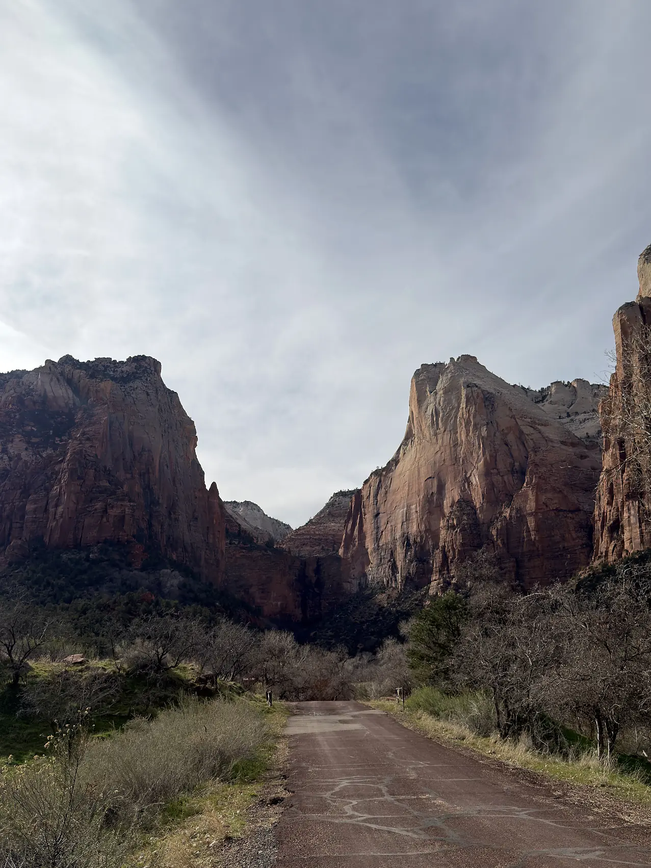 A dirt road leading into a canyon between red cliffs under a cloudy sky.